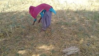 धूप में तपती देसी बॉयफ्रेंड की गर्मी में भीगी उसकी खेत की मस्त चुदाई