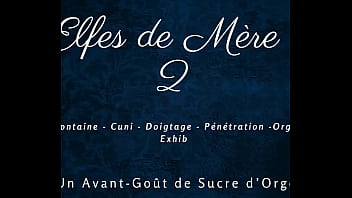 Les Elfes De Mère Noël 2 : Les Gémissements Cochons Et Les Fontaines De Jouissance
